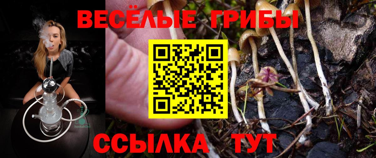 Галлюциногенные грибы MAGIC MUSHROOMS Грозный