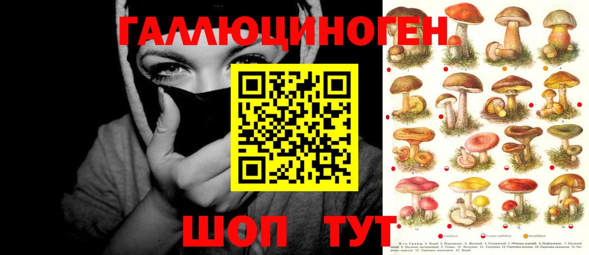 Галлюциногенные грибы ЛСД  Псилоцибиновые грибы прущие грибы  Грозный  Вход с VPN 